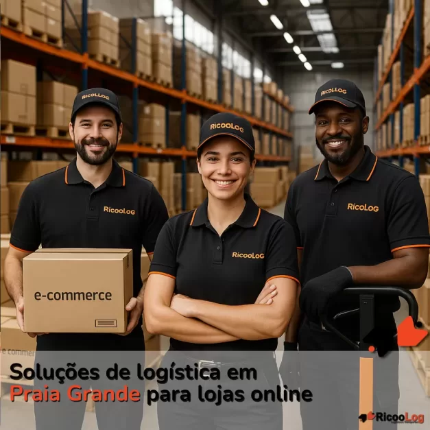 Soluções de logística em Praia Grande para lojas online